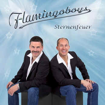 coverflamingoalbum.jpg